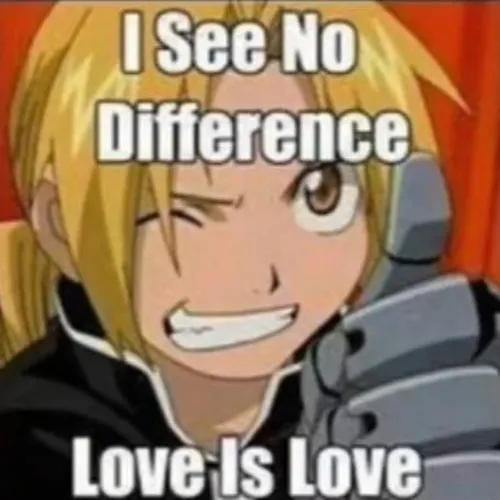 A meme of Edward Elric from Fullmetal Alchemist doing a thumbs up with the caption I See No Difference Love is Love